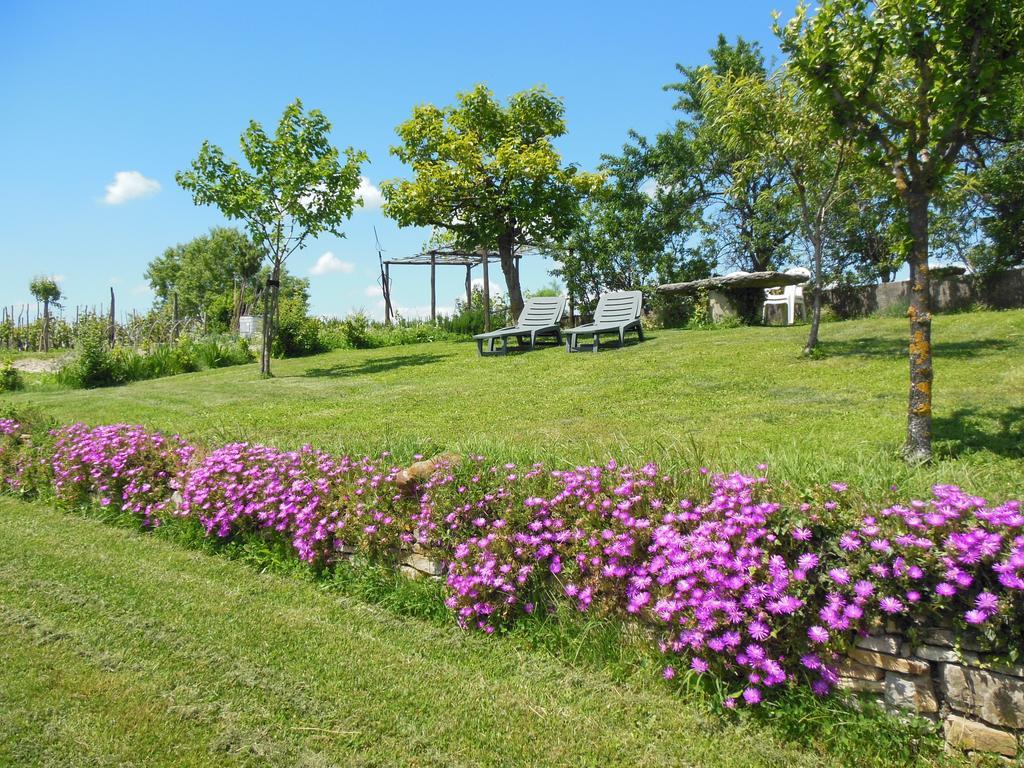 Agriturismo Affittacamere Barbarossa Dogliani Exteriér fotografie