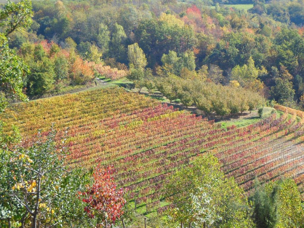 Agriturismo Affittacamere Barbarossa Dogliani Exteriér fotografie