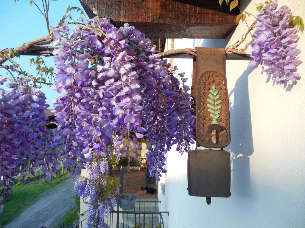 Agriturismo Affittacamere Barbarossa Dogliani Exteriér fotografie