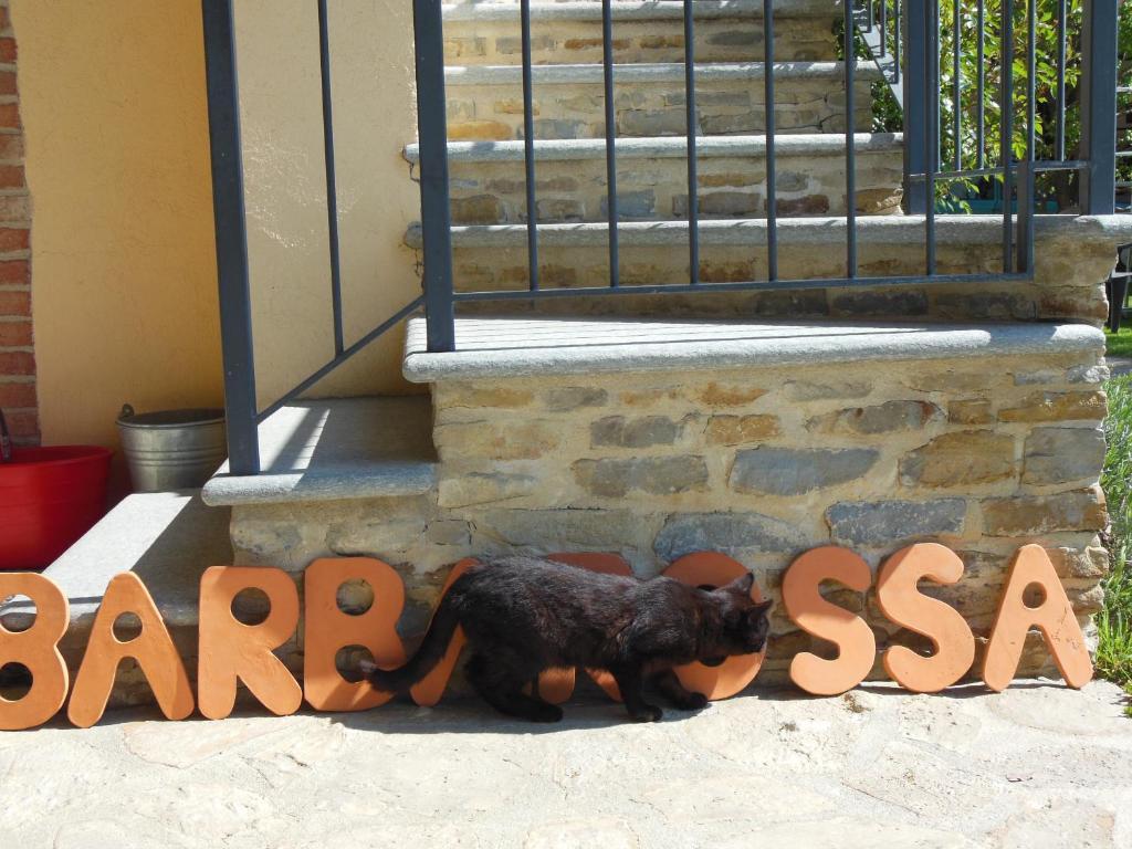 Agriturismo Affittacamere Barbarossa Dogliani Exteriér fotografie