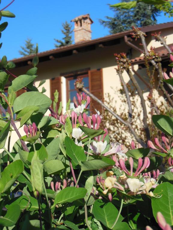 Agriturismo Affittacamere Barbarossa Dogliani Exteriér fotografie