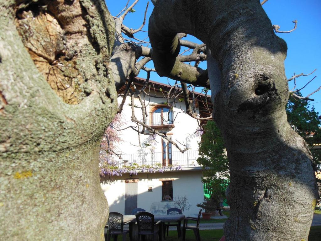 Agriturismo Affittacamere Barbarossa Dogliani Exteriér fotografie