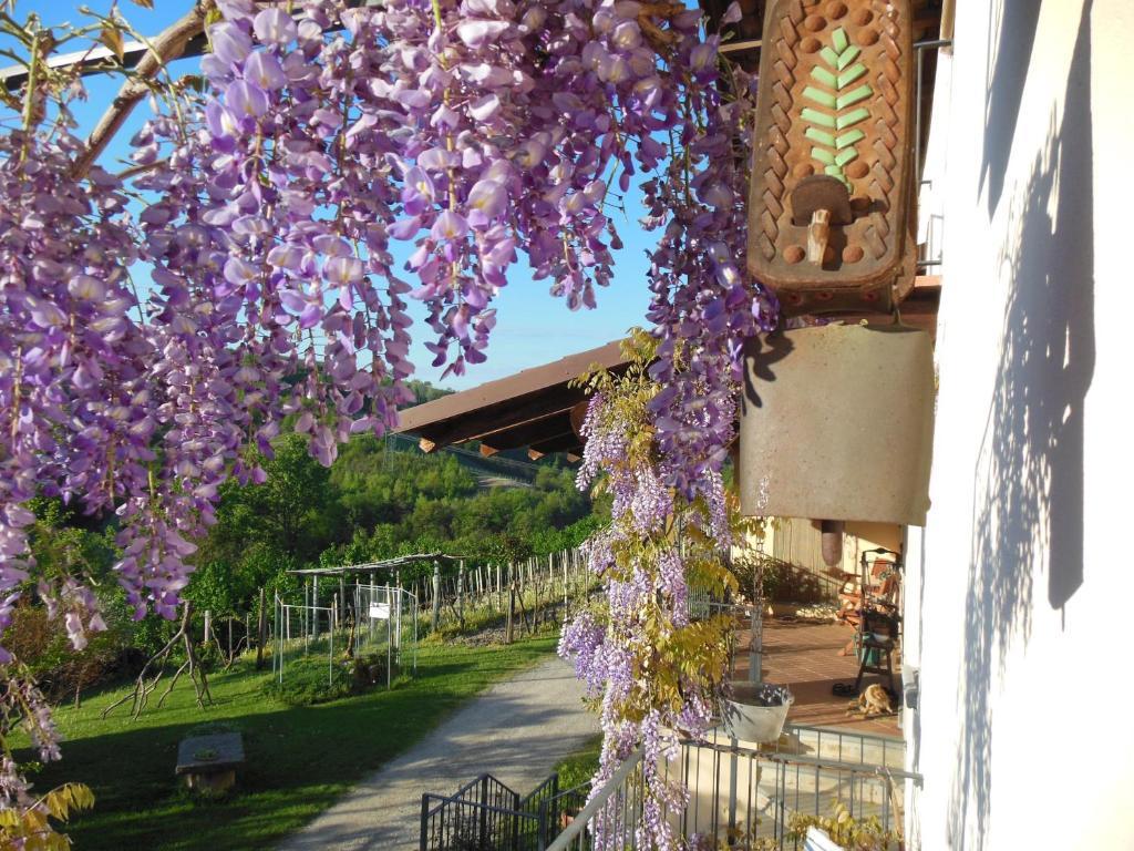 Agriturismo Affittacamere Barbarossa Dogliani Exteriér fotografie